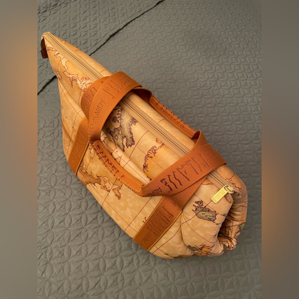 PET CARRIER  l'lClasse Alviero Martini Small Pet. Very Posh! very rare!